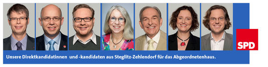 Wahlkreiskandidaten 2011